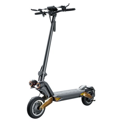 Hulajnoga elektryczna RUPTOR R6 75km 2x800W 2 amortyzatory 10" Miedziany