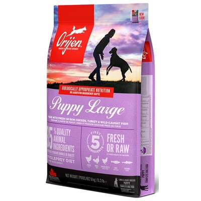 Karma dla psa ORIJEN Puppy Large Kurczak z indykiem i rybami 6 kg