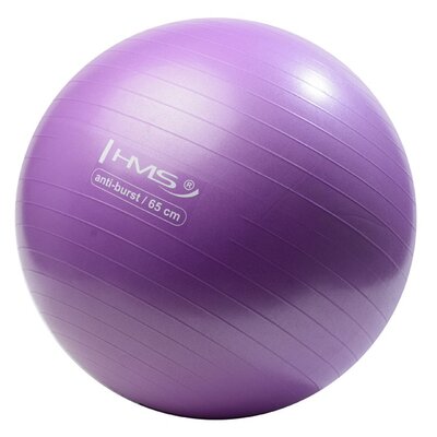 Piłka gimnastyczna HMS YB02 Fioletowy (65 cm)