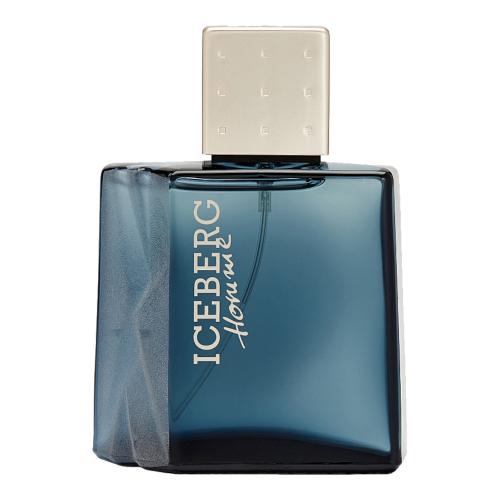 Iceberg Homme woda toaletowa męska, 100 ml