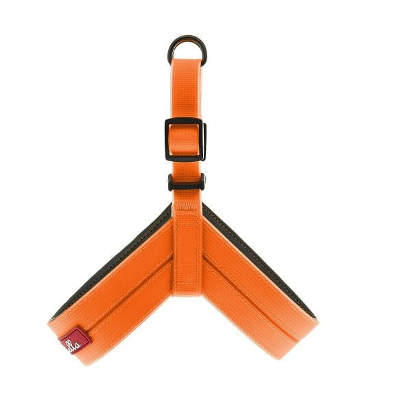 Ferribiella Szelki dla psa Coco Fun Flat pomarańczowe