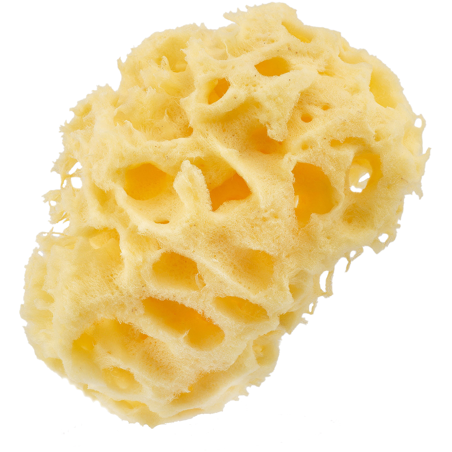 Hhuumm naturalna gąbka do kąpieli 9,5 cm, 1 szt.