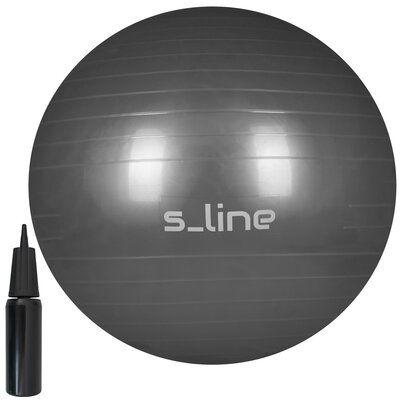 Piłka gimnastyczna S_LINE SA009G Szary (65 cm)