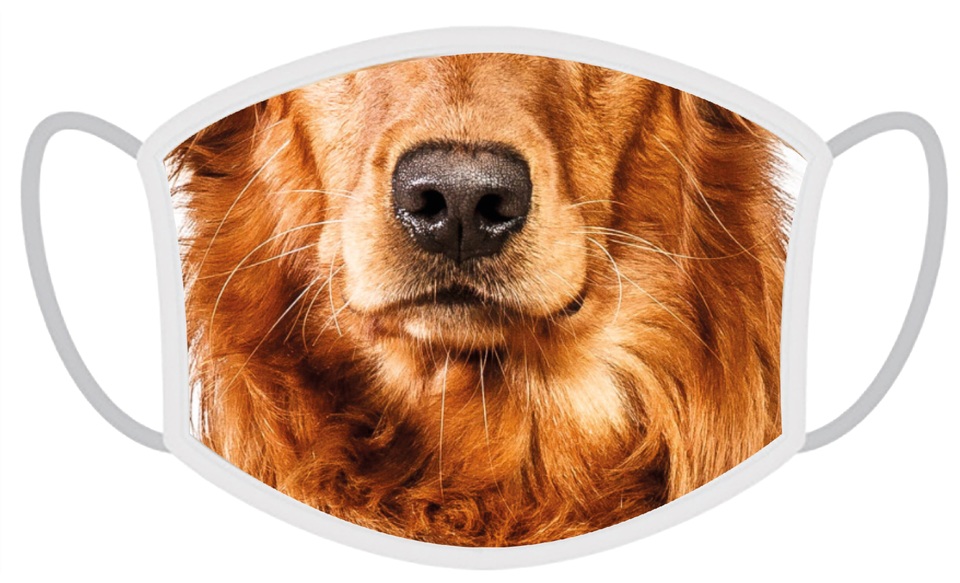 FERA Maseczka ochronna Golden retriever