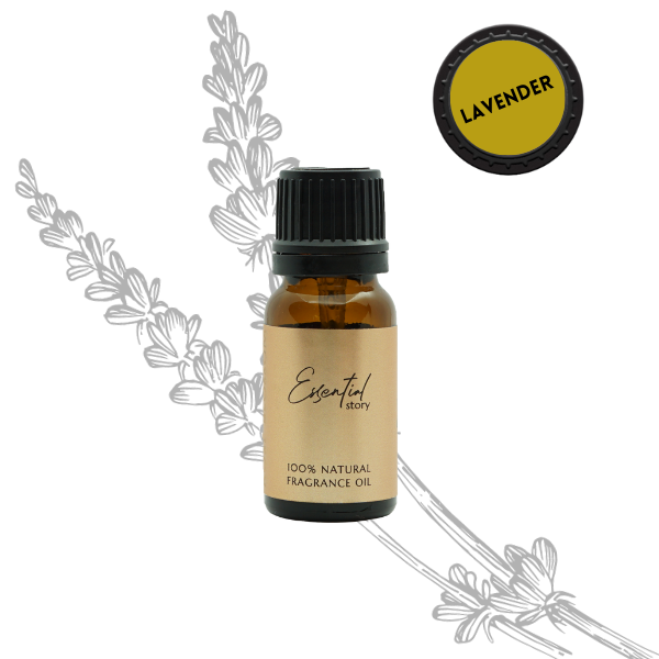 Essential Story olejek lawendowy zapachowy 100% naturalny, 10 ml