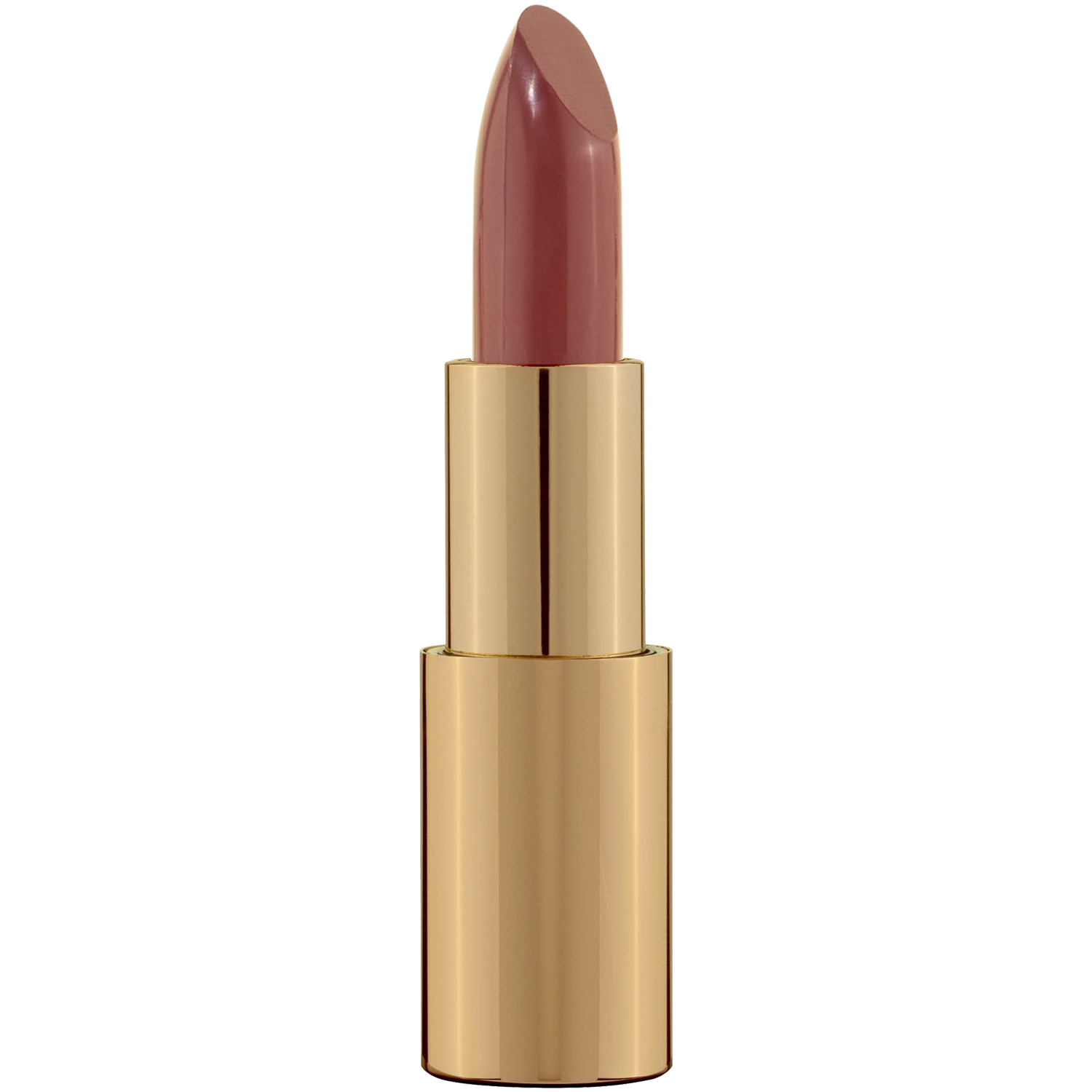 Pierre René Professional Royal Mat Lipstick pomadka do ust 31, 4,8 g