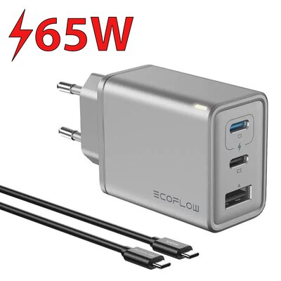 Ładowarka sieciowa ECOFLOW Rapid 65W Srebrny