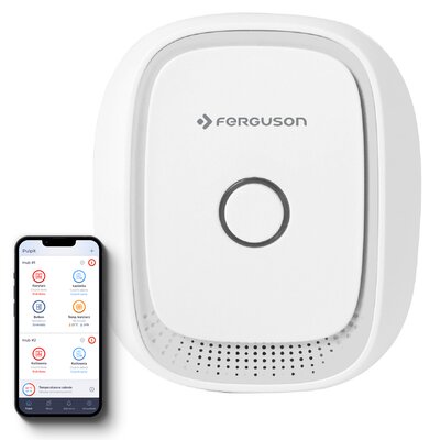 Czujnik gazu FERGUSON FS2RG Wi-Fi