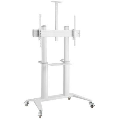 Stojak podłogowy TECHLY do TV 70 - 120 ICA-TR49W Biały