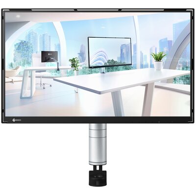 Monitor EIZO FlexScan FLT-BK 23.8" 1920x1080px IPS