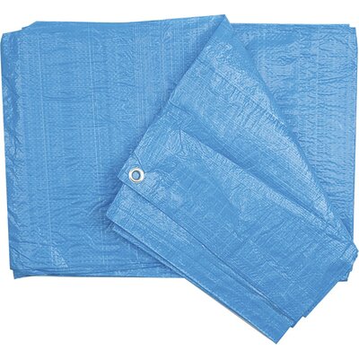 Plandeka VOREL 85080 (6 x 10 m)