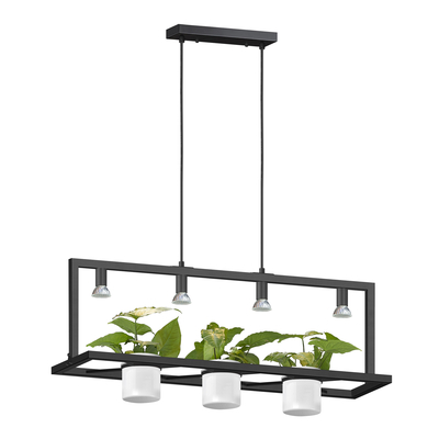 Lampa wisząca z osłonkami na rośliny czarna PLANTER