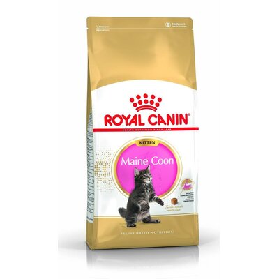 Karma dla kota ROYAL CANIN Kitten Maine Coon 2 kg