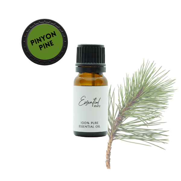 Essential Story bio olejek sosnowy pinyon eteryczny 100% organiczny, 10 ml