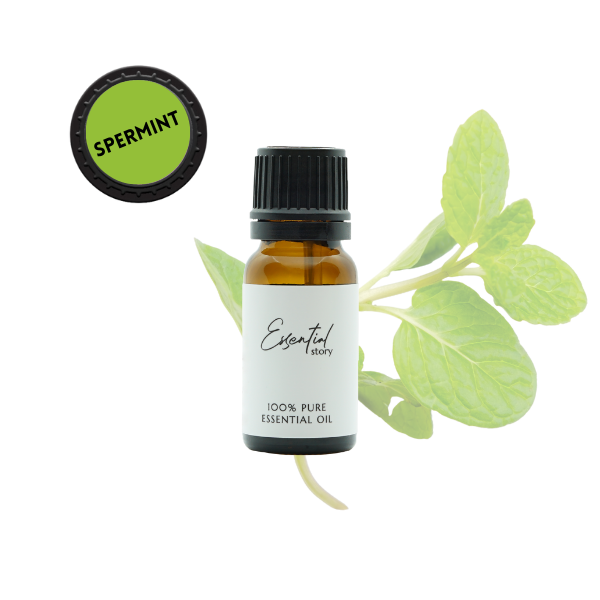 Essential Story olejek z mięty zielonej eteryczny 100% naturalny, 10 ml
